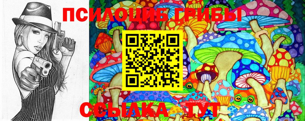 Псилоцибиновые грибы Cubensis Среднеуральск