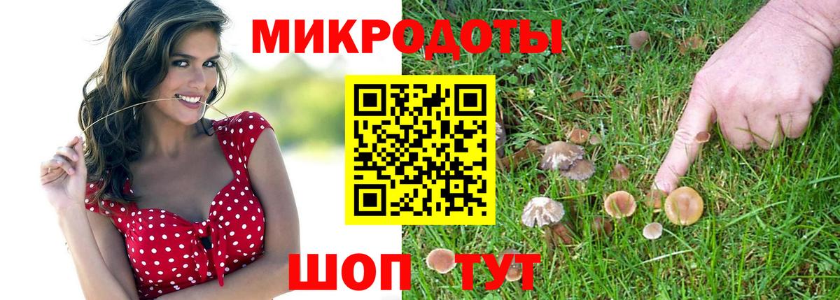 Галлюциногенные грибы мицелий  Псилоцибиновые грибы MAGIC MUSHROOMS  Среднеуральск  Вход с VPN 